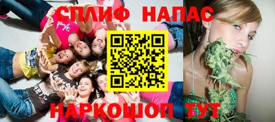 ешки Гай