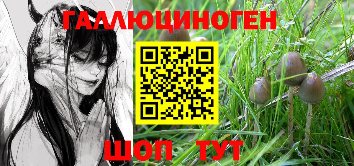 Назарово  Галлюциногенные грибы Psilocybine cubensis  Галлюциногенные грибы Magic Shrooms  Вход с VPN 